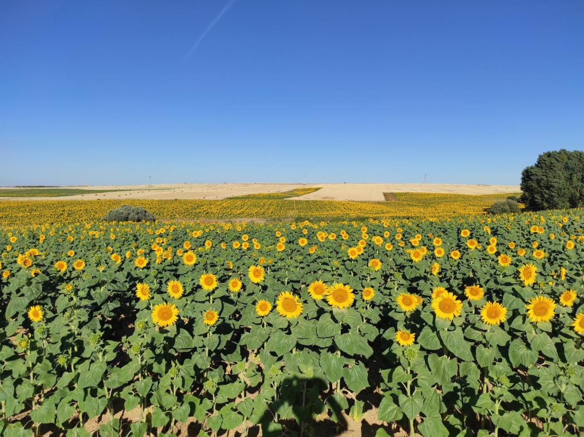 Vinarius, Posada Rural Castellanos de Villiquera 외부 사진