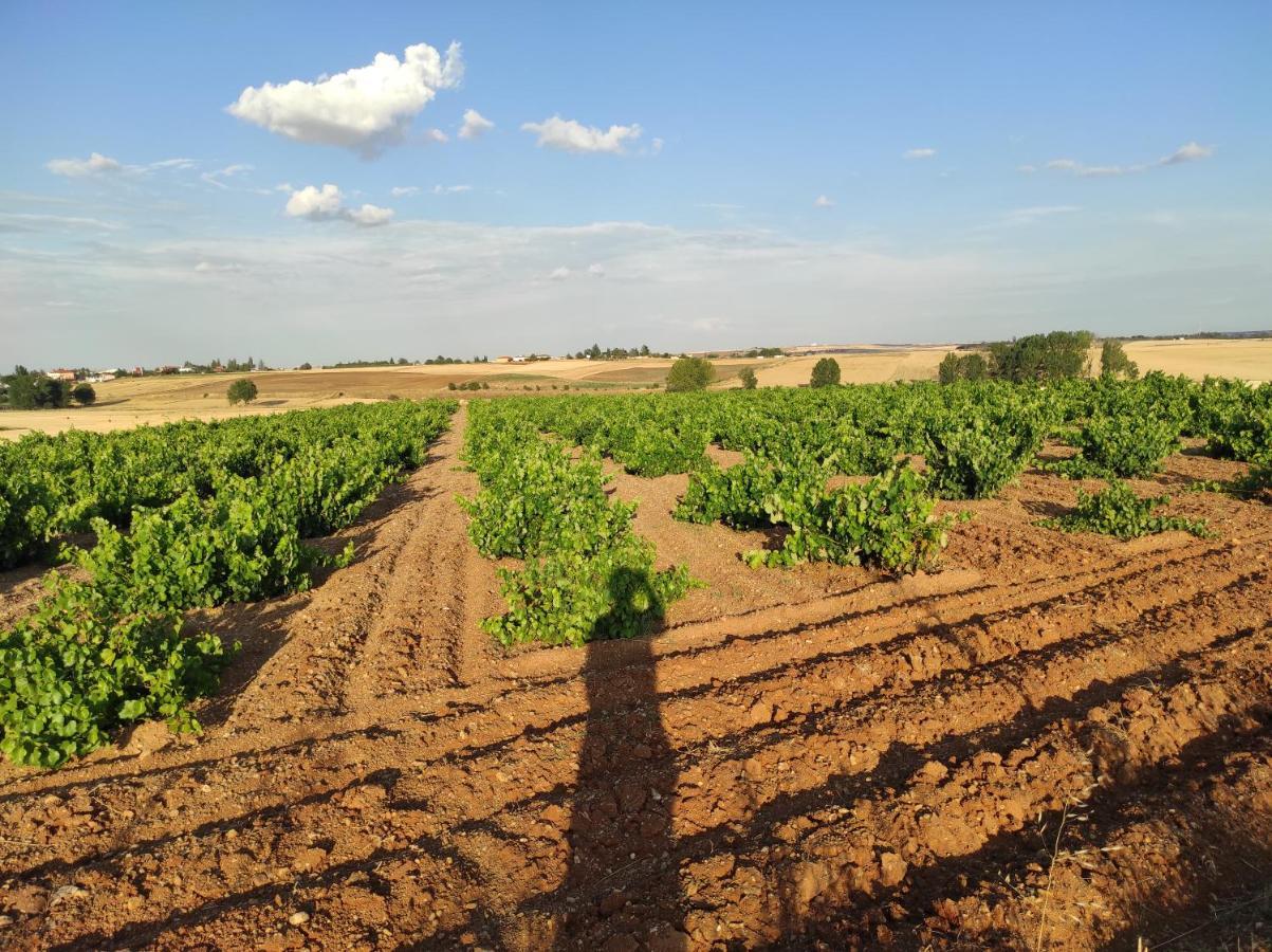 Vinarius, Posada Rural Castellanos de Villiquera 외부 사진