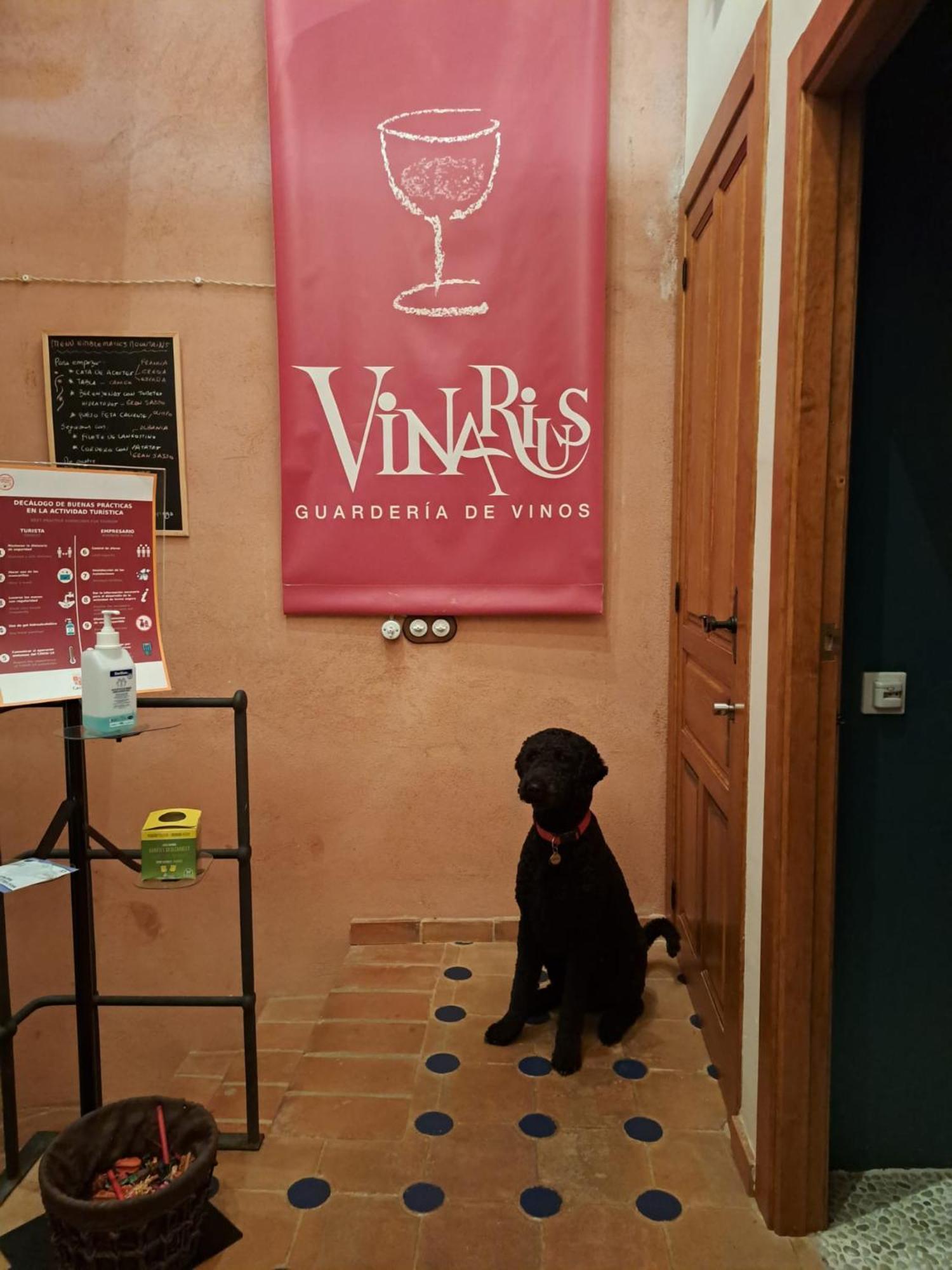 Vinarius, Posada Rural Castellanos de Villiquera 외부 사진